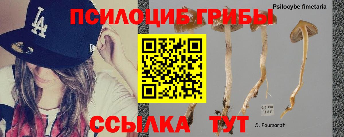 Псилоцибиновые грибы GOLDEN TEACHER  Вход с VPN  Туапсе 
